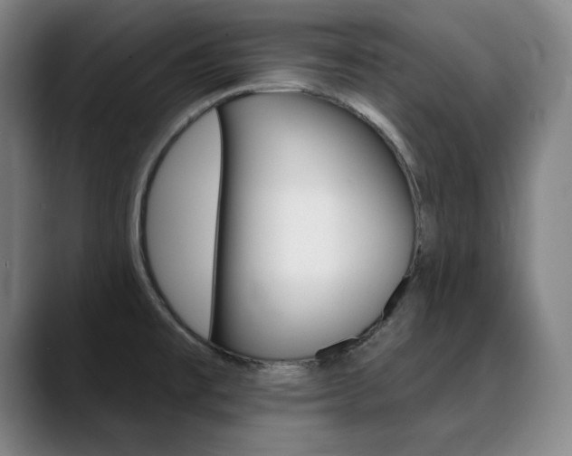 X0000090501477200707130940