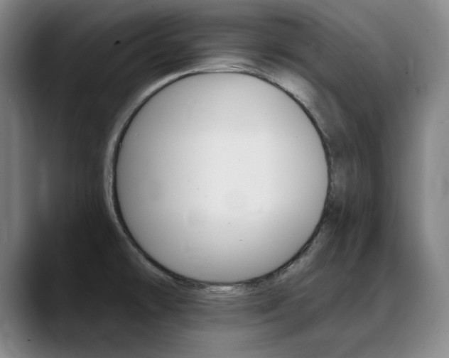 X0000090501478200707130940