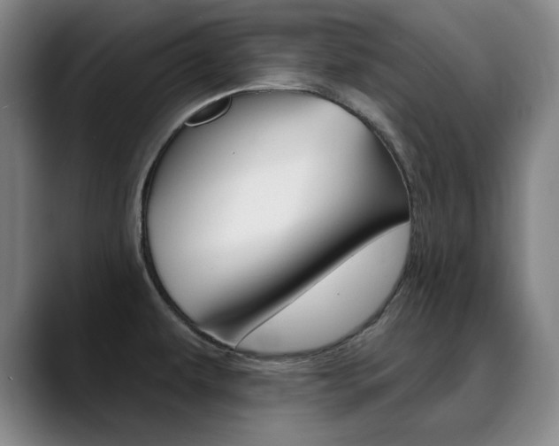 X0000090501479200707130940