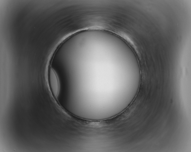 X0000090501480200707130940