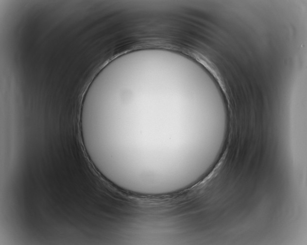 X0000090501481200707130940