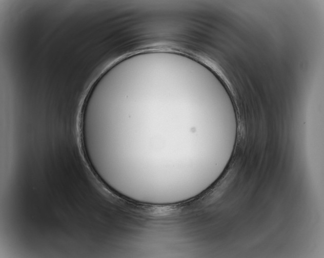X0000090501482200707130940