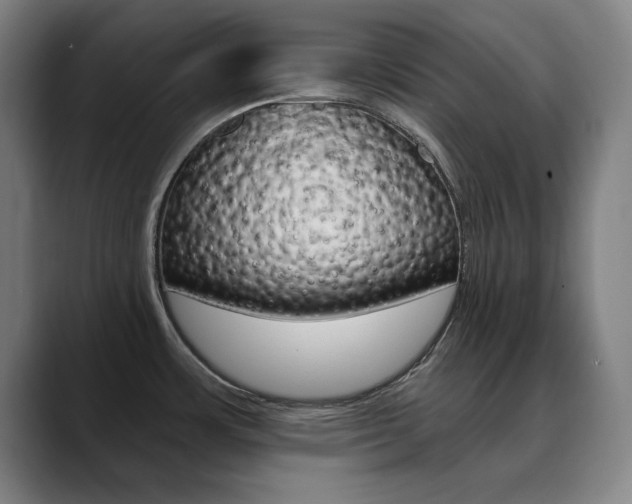 X0000090501483200707130940