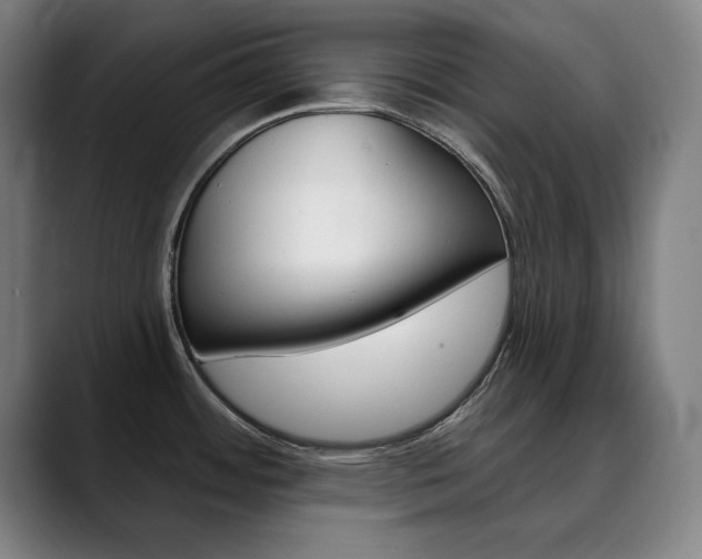 X0000090501484200707130940
