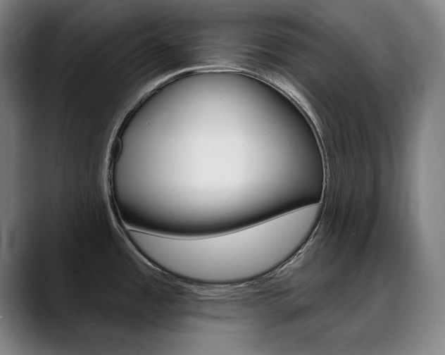X0000090501485200707130940