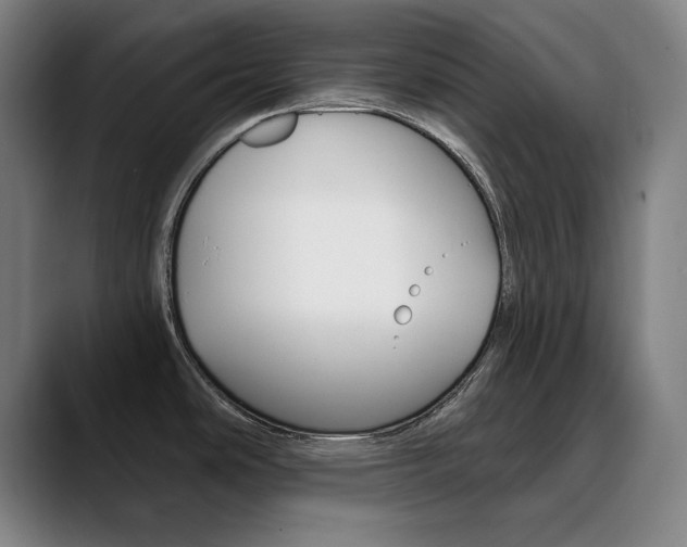 X0000090501486200707130940