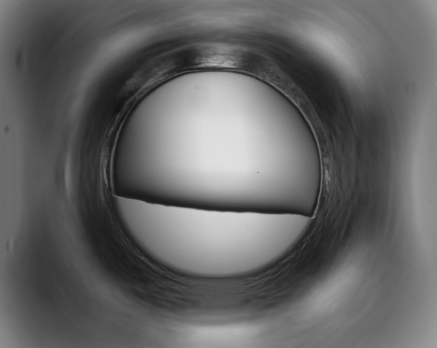 X0000090501487200707130940