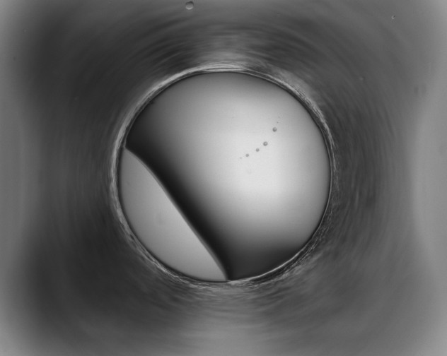 X0000090501488200707130940