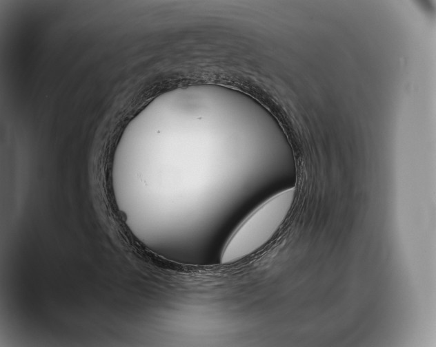 X0000090501489200707130939
