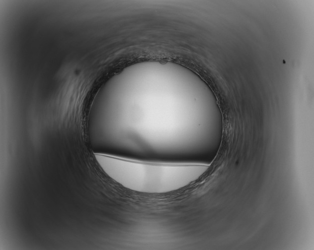 X0000090501490200707130939