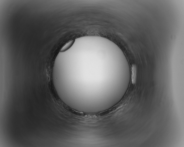 X0000090501491200707130939