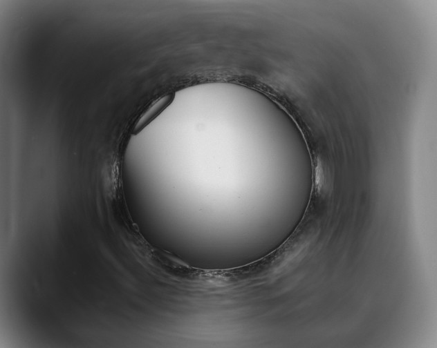 X0000090501492200707130939