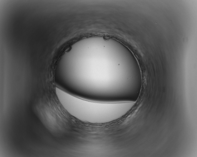 X0000090501494200707130939