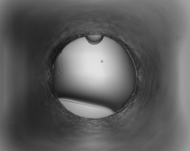 X0000090501495200707130939