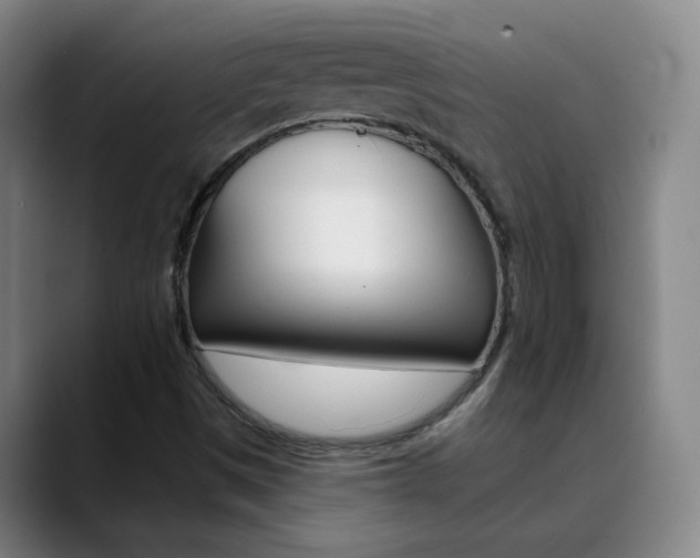 X0000090501497200707130939