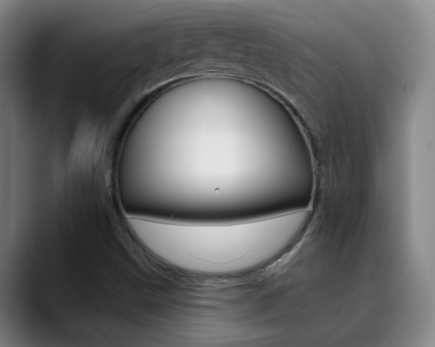 X0000090501499200707130939