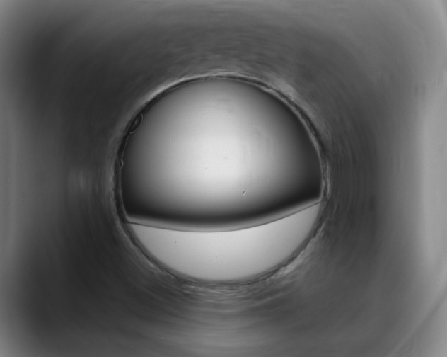 X0000090501500200707130939