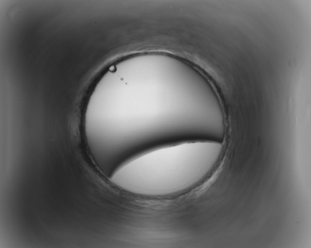 X0000090501502200707130939
