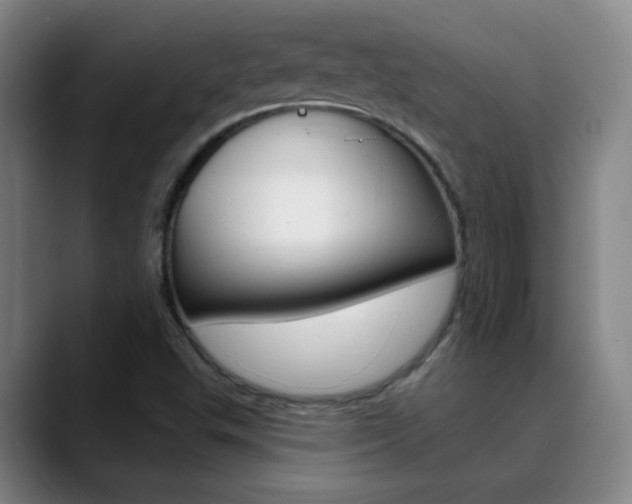 X0000090501503200707130939