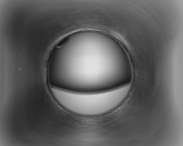 X0000090501504200707130939