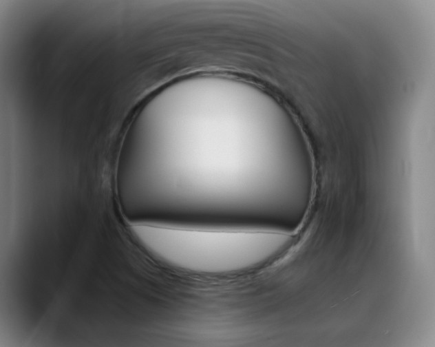 X0000090501505200707130939