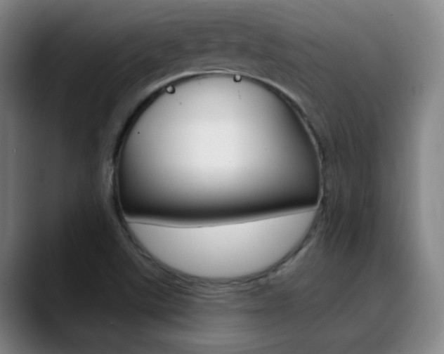 X0000090501507200707130939