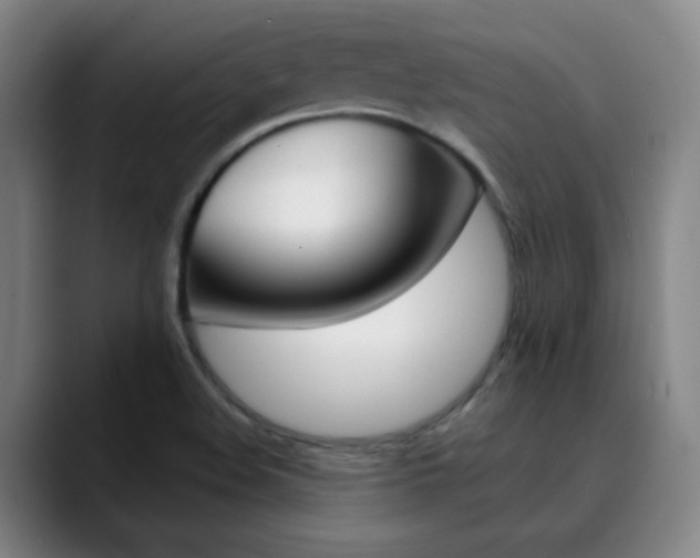 X0000090501508200707130939