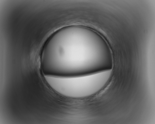 X0000090501509200707130939