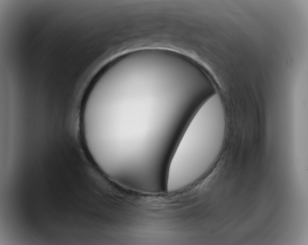 X0000090501511200707130939