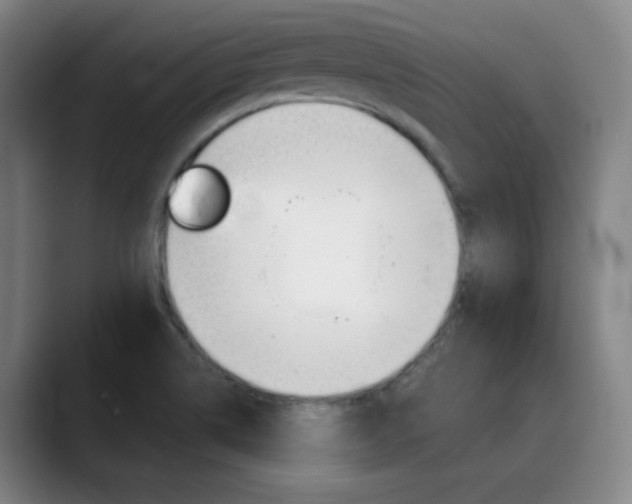 X0000090501514200707130939