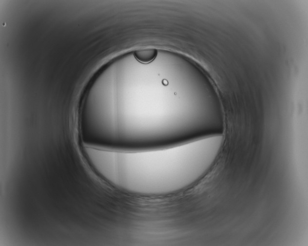 X0000090501515200707130939