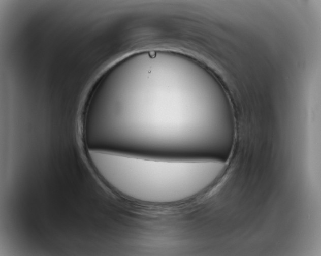 X0000090501517200707130940