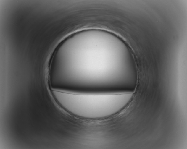X0000090501519200707130940