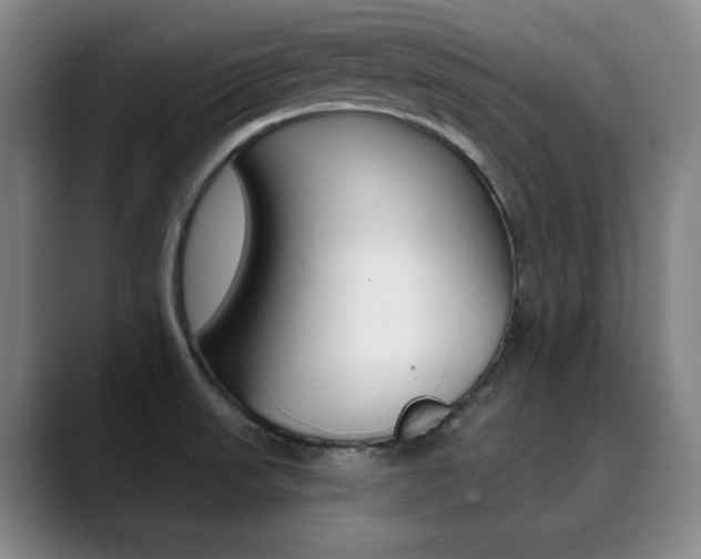 X0000090501523200707130940