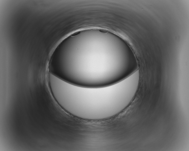 X0000090501524200707130940