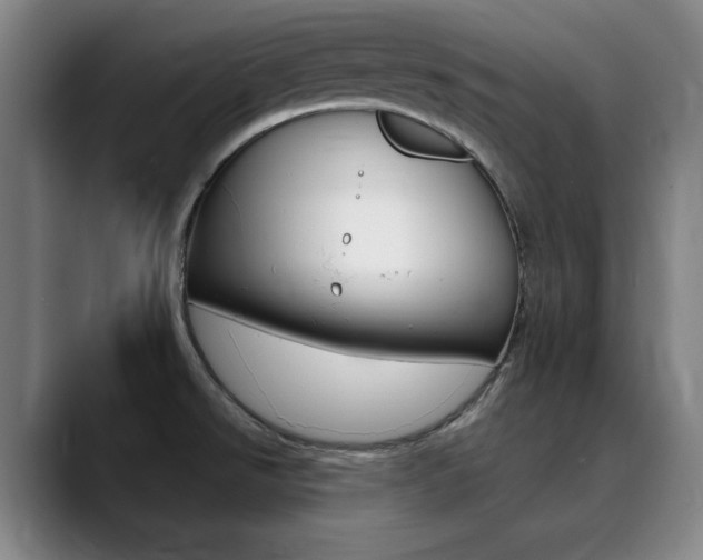 X0000090501526200707130940