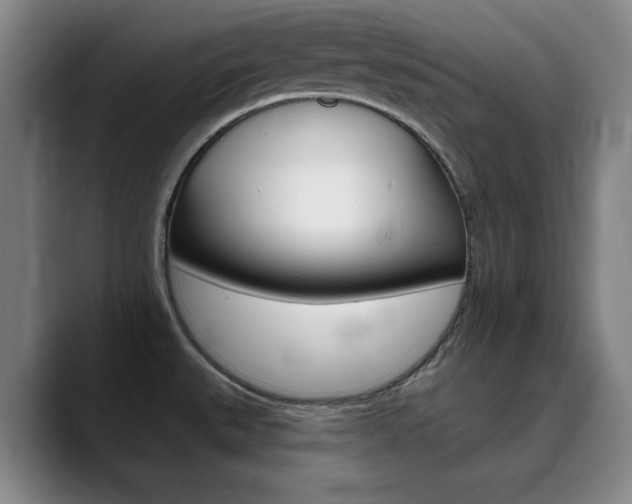 X0000090501527200707130940