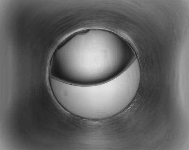 X0000090501528200707130940