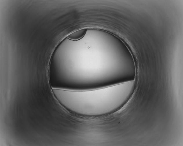 X0000090501529200707130940