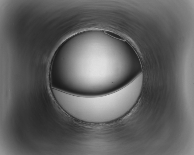 X0000090501530200707130940
