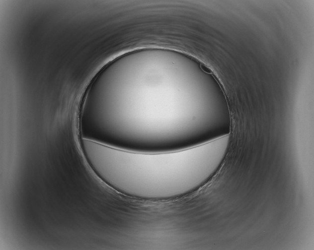 X0000090501531200707130940