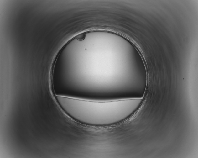 X0000090501533200707130940