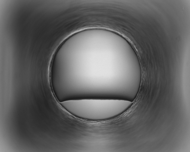 X0000090501535200707130940