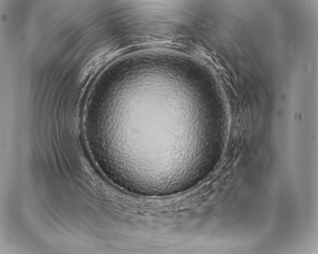 X0000090500002200707131403
