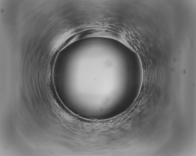 X0000090500005200707131403