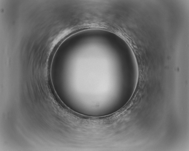 X0000090500008200707131403