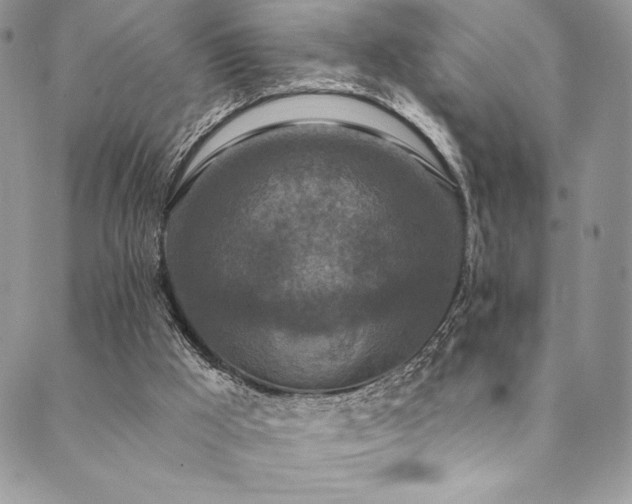X0000090500009200707131403