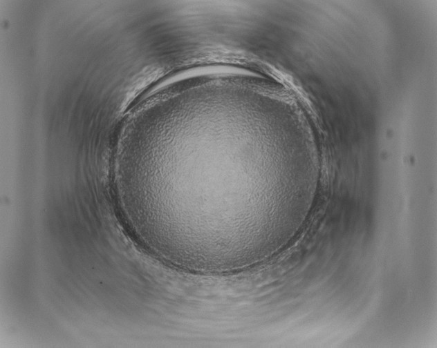 X0000090500010200707131403
