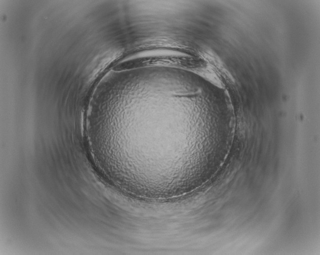 X0000090500014200707131403