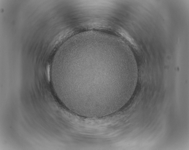 X0000090500022200707131403